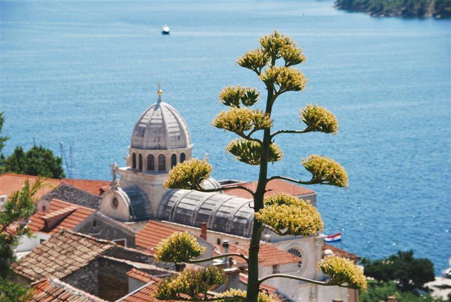Apartment Royal Sibenik Exterior photo